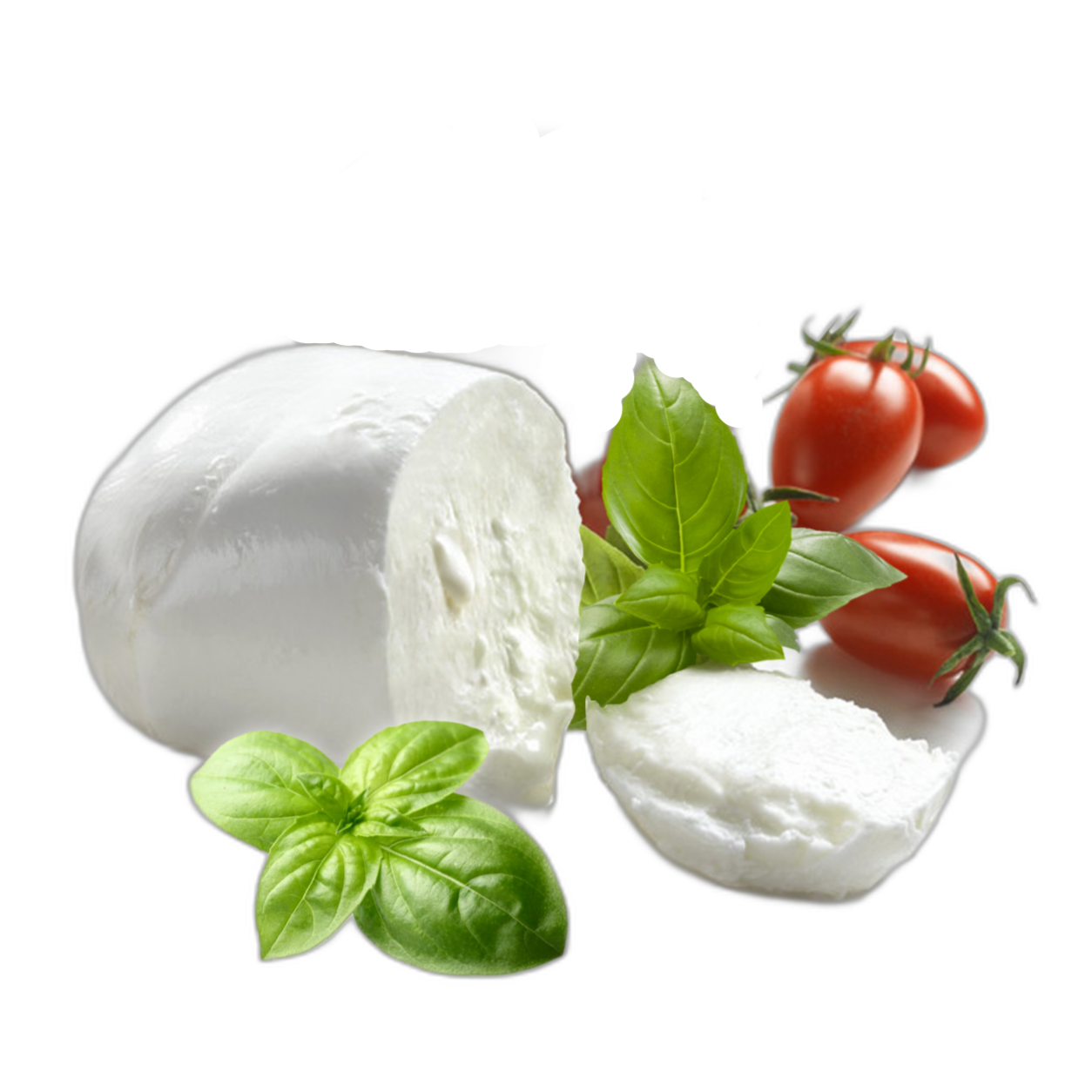 Mozzarella di Bufala 125 GR